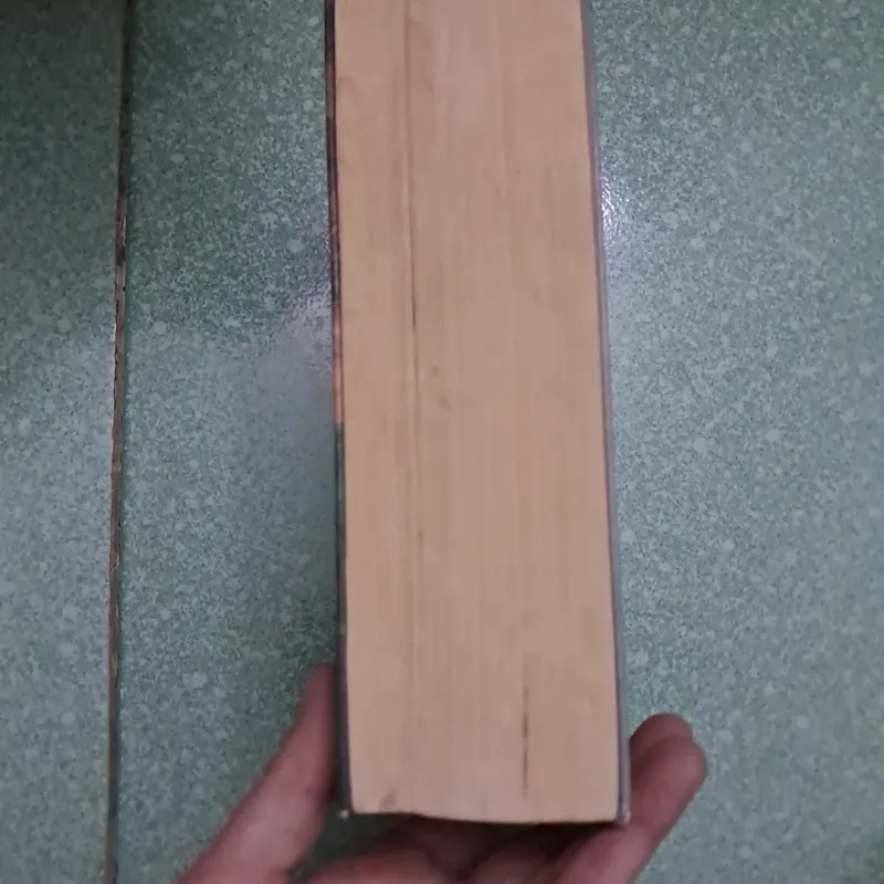 Harry Potter  1021880