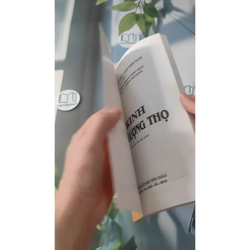 Kinh Vô Lượng Thọ - Thích Tuệ Đăng (Dịch) 928502