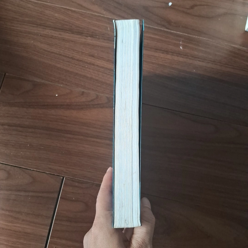 Bóng hồn - yến lũy sinh 525726