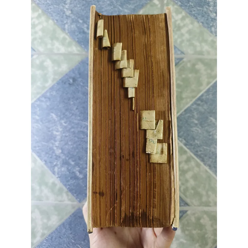 Việt Nam tân từ điển - Thanh Nghị 712530