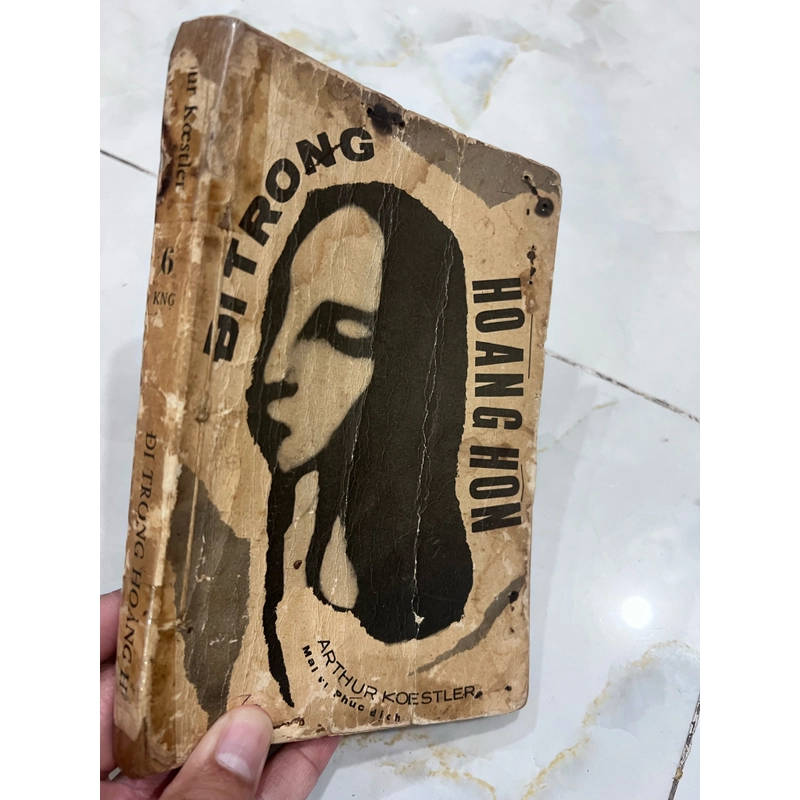 Đi trong hoàng hôn - Mai Vi Phúc dịch 531550