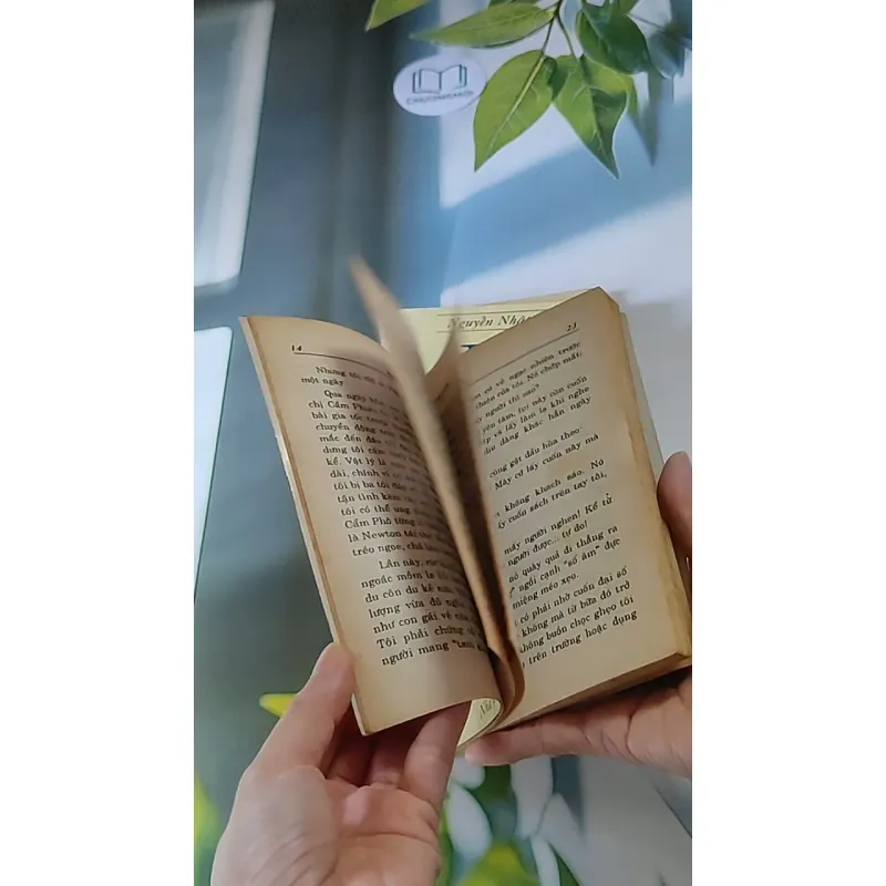 Trọn bộ Trại hoa vàng (4 tập) 607740