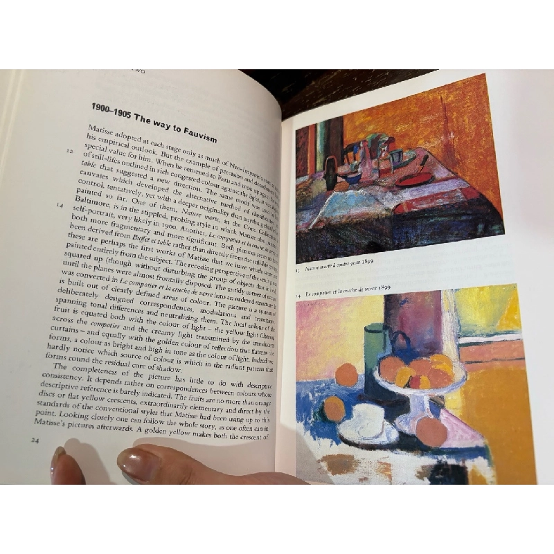 Matisse - Lawrence Gowing 1013759