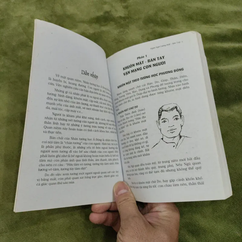 Khuôn Mặt Bàn Tay & Vận Mệnh Con Người 754555