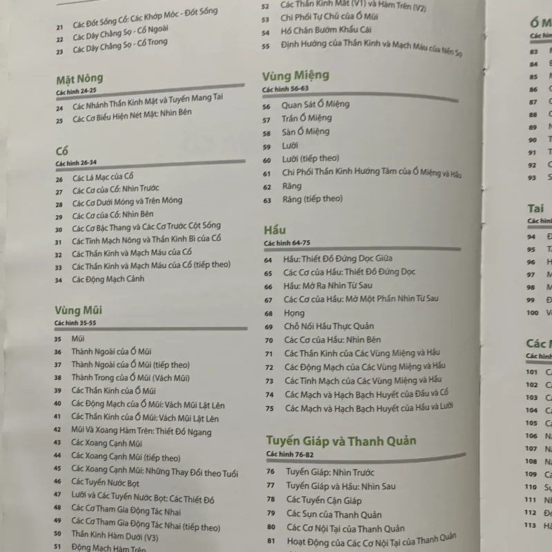 ATLAS GIẢI PHẪU NGƯỜI - FRANK H. NETTER, MD - sách dày, in màu  961602