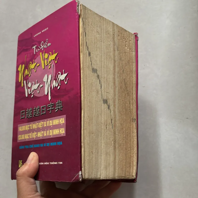 Từ điển Nhật Việt - Việt Nhật - Vương Ngọc 714772