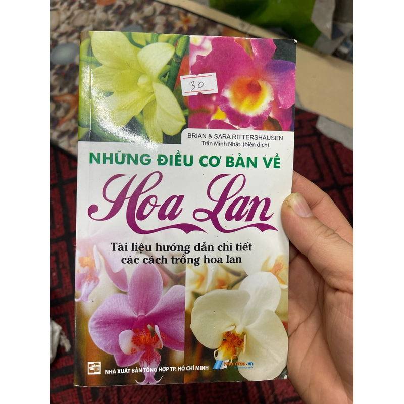 Những điều cơ bản về hoa Lan (c) 363104