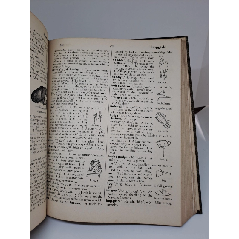 Webster's Elementary Dictionary mới 80% ố HCM.ANTQ1309 921530