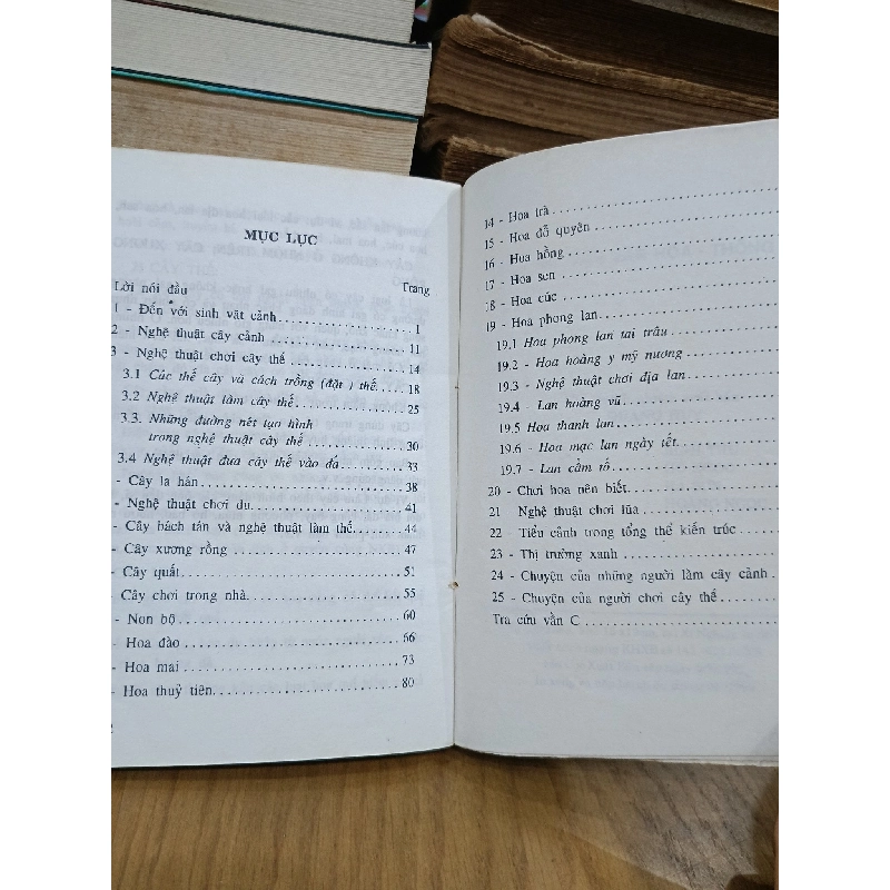 Nghệ thuật cây hoa - cây thế - cây cảnh - Như Mạo 1000795