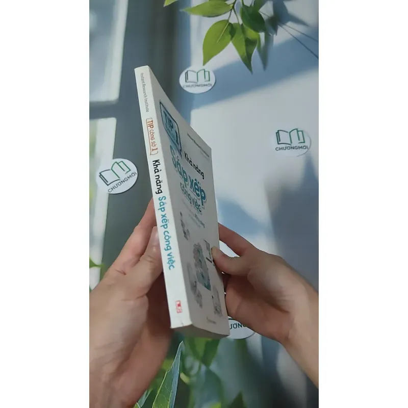 Khả Năng Sắp Xếp Công Việc - Instant Research Institute 961173