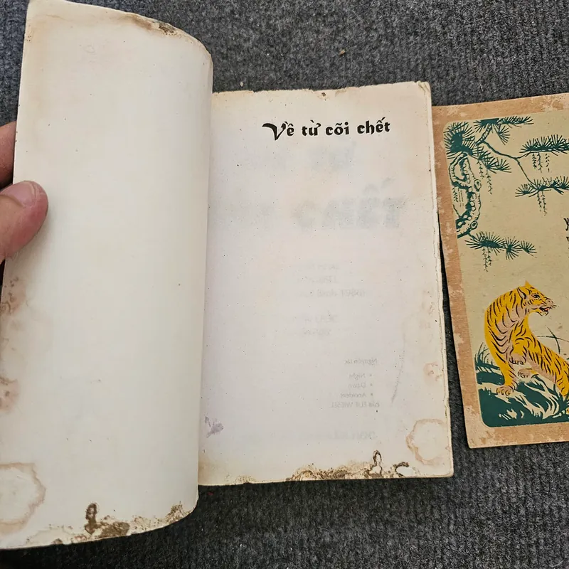 Về từ cõi chết - Nobel hòa bình 734444