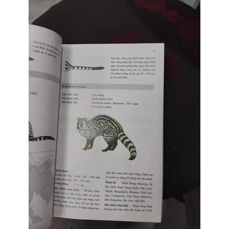 Giới thiệu một số loài thú của Đông Dương và Thái Lan 975216