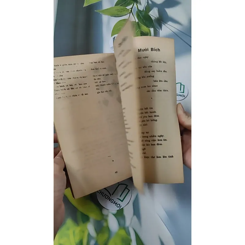 [XƯA] Bói Bài - Xem Sự Thành Bại Trên Đường Đời (1970) - Huỳnh Liên Tử 775994