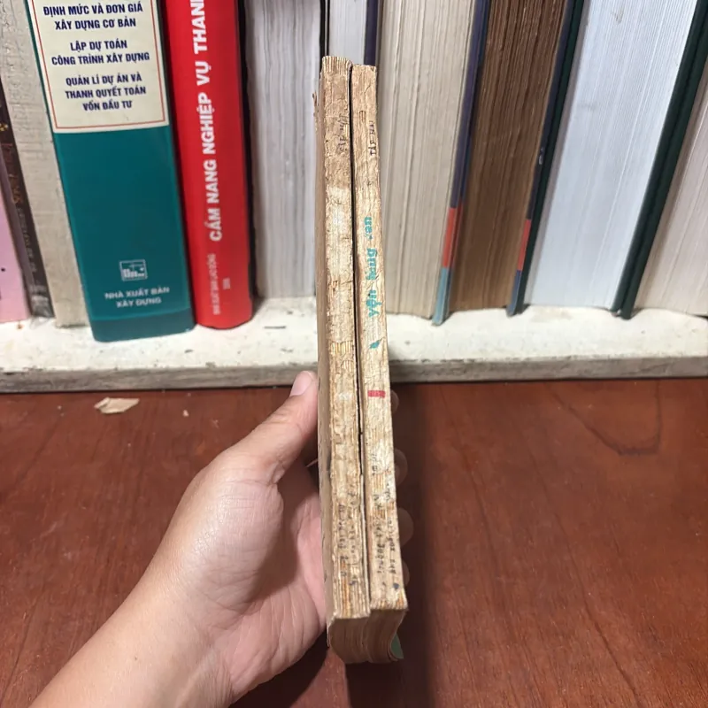 II Văn Học Việt Nam: Chuyện Làng Văn _ Việt Nam Và Thế Giới (2 Tập) - 1987 752314
