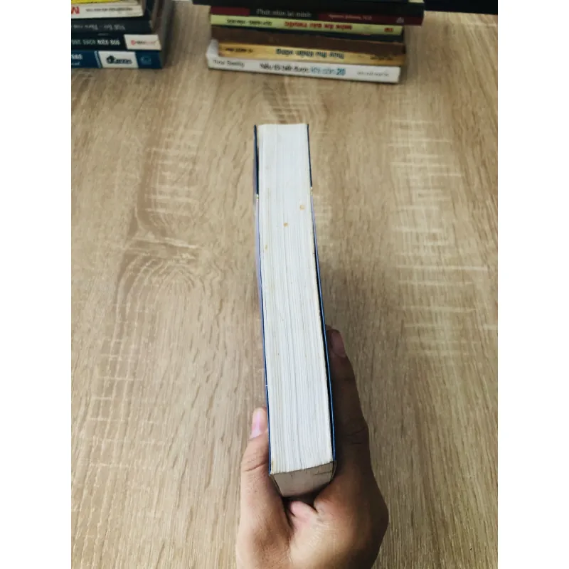 NHỮNG NGƯỜI KHỐN KHỔ (T2) 1030016