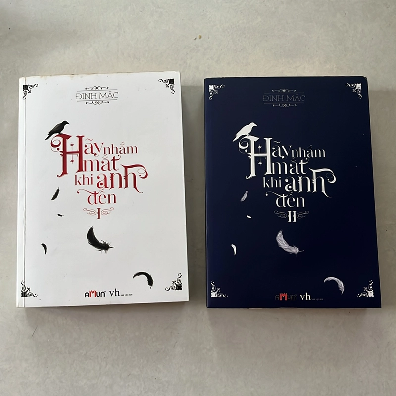 Hãy nhắm mắt khi anh đến (Trọn bộ 2 tập) — Đinh Mặc 525971