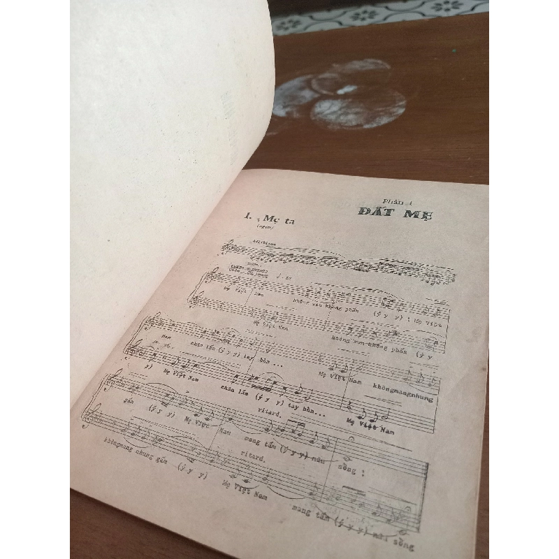 Mẹ Việt Nam - Phạm Duy 976664