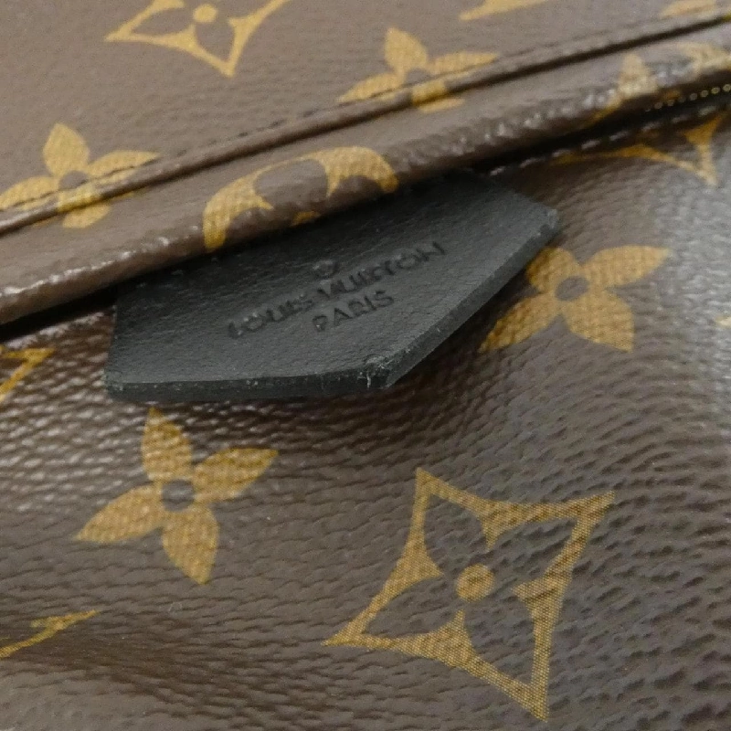 Ba lô Louis Vuitton Monogram Palm Springs PM M44871 608257