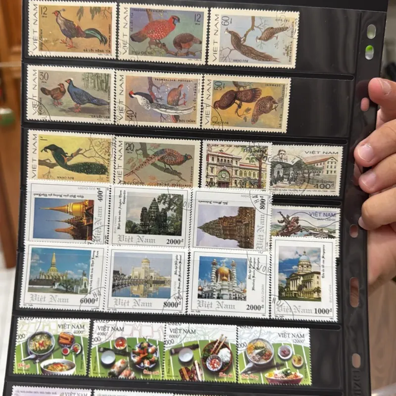 Thanh lý tem 1013551