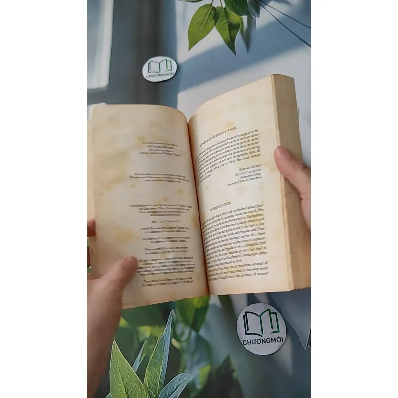 Sense and Sensibility - Jane Austen 1033593