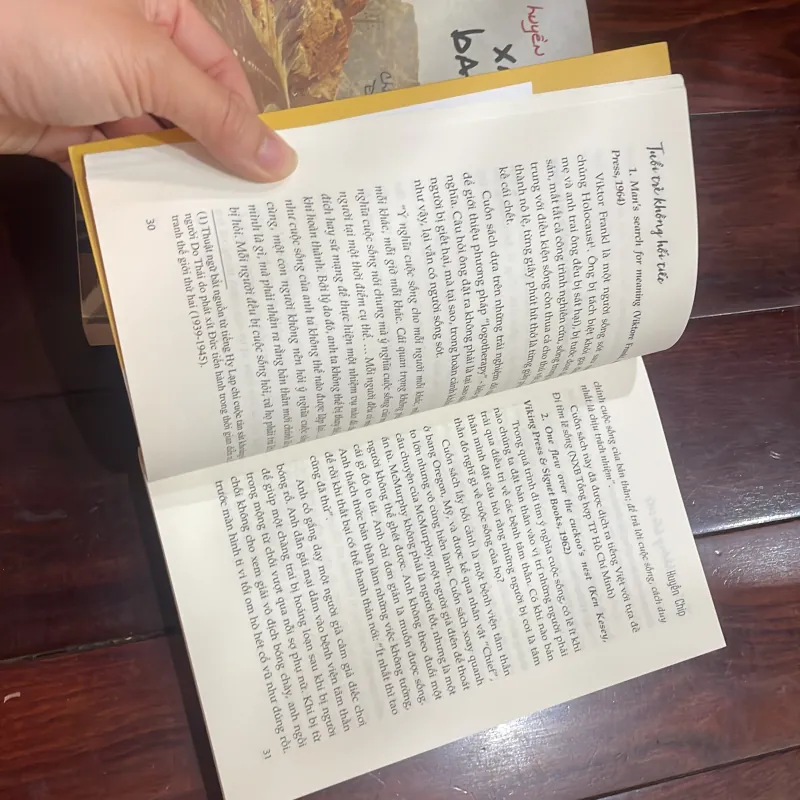 HUYỀN CHIP - combo 2 quyen : xách ba lô lên và đi . Tuổi trẻ không hối tiếc  1025885