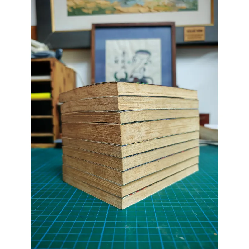 LIGHT NOVEL THẢM TỬ LỪNG DANH CONAN 366164