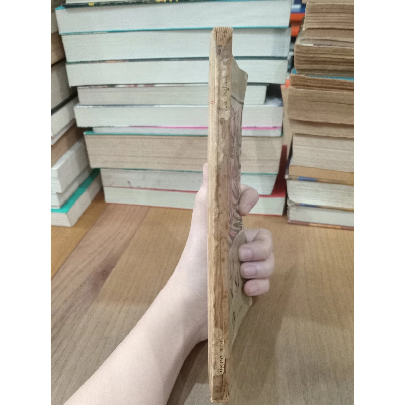 Anh là chiến sĩ - Nguyễn Bùi Vợi 735320