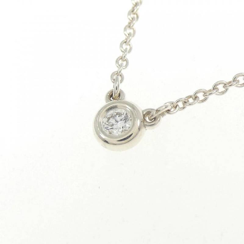 Dây chuyền Tiffany By The Yard - Hàng hiệu Authentic 842068