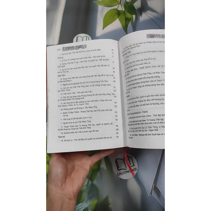 Chuyện Tình Vua Chúa Hoàng Tộc Việt Nam - Đinh Công Vĩ 990453