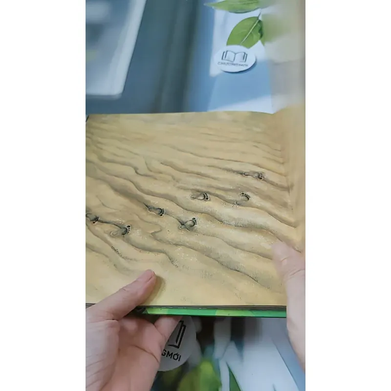 [Tặng nẹp góc] Truyện thiếu nhi Hàn Quốc: Moyamo Anu 24 -  모야모 아누와: 불행을 찾아간 원숭이;. 지혜의 열쇠 732017