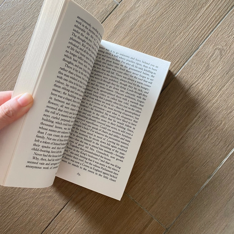 Orlando - Virginia Woolf 521616