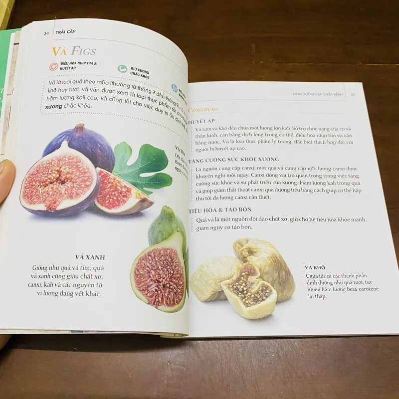 Dinh dưỡng chữa bệnh: trái cây  606030