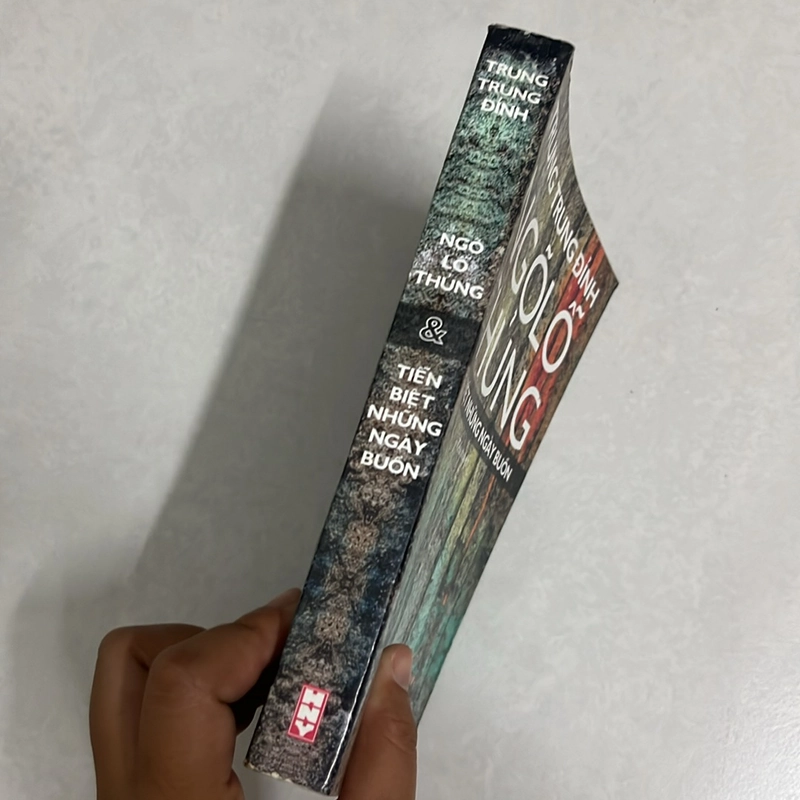 Ngõ Lỗ Thủng tiễn biệt những ngày buồn — Trung Trung Đỉnh 501172