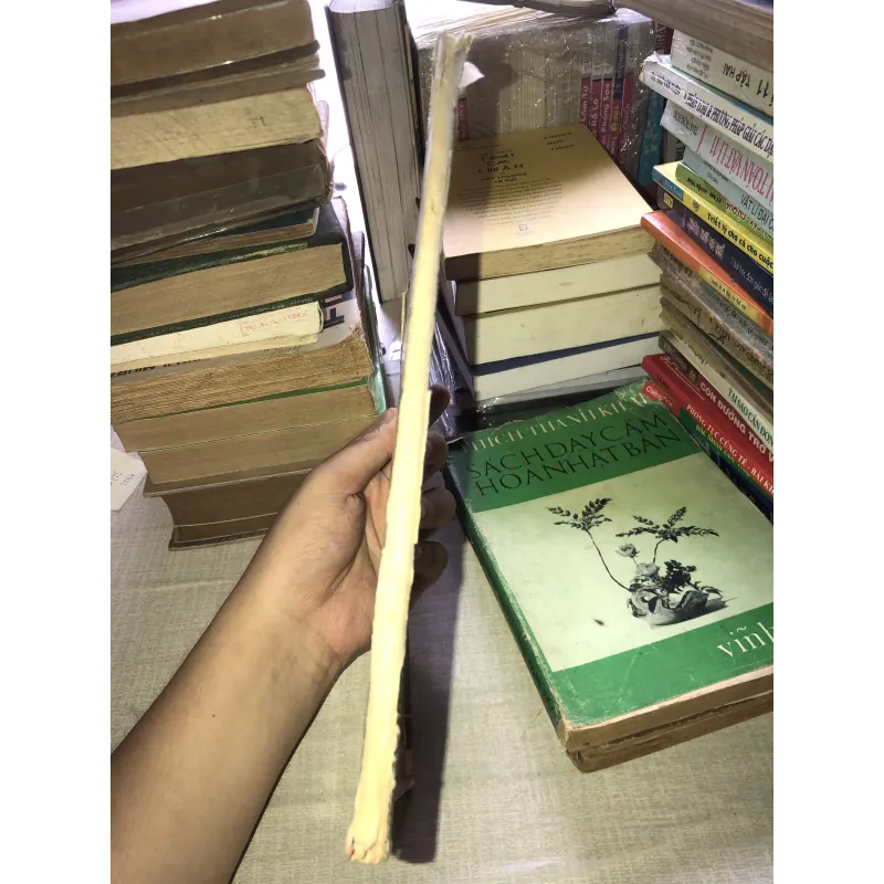 Les hormones ovariennes roussel 973106