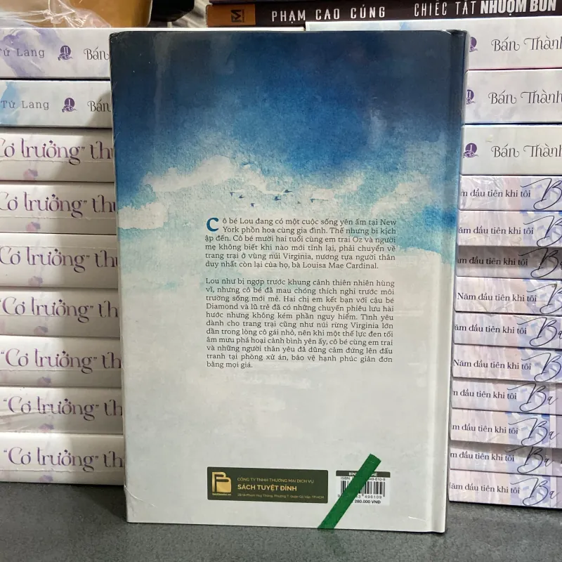 (Văn học) - Bình Yên Nhé -  David Baldacci 991053