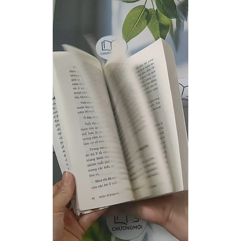 Nhân tố Enzyme - Thực hành 688454