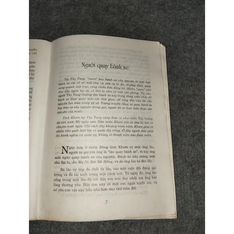 SƯ TỬ TUYẾT BỜM XANH 570802