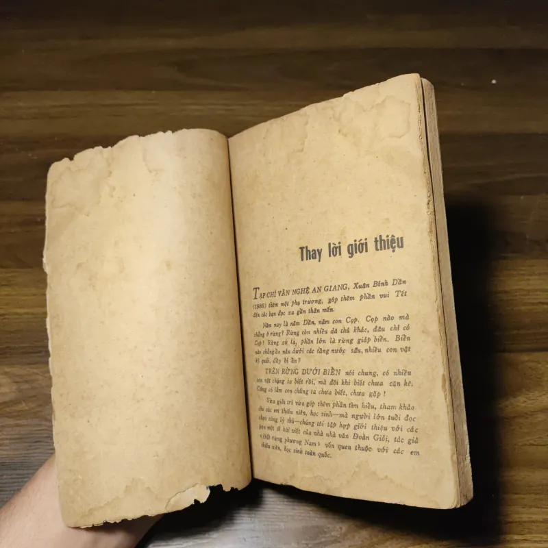 Các Con Vật Trên Rừng Dưới Biển - Đoàn Giỏi 1022201