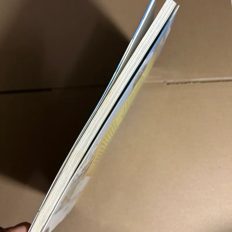 Chuyện con mèo dạy hải âu bay 733386