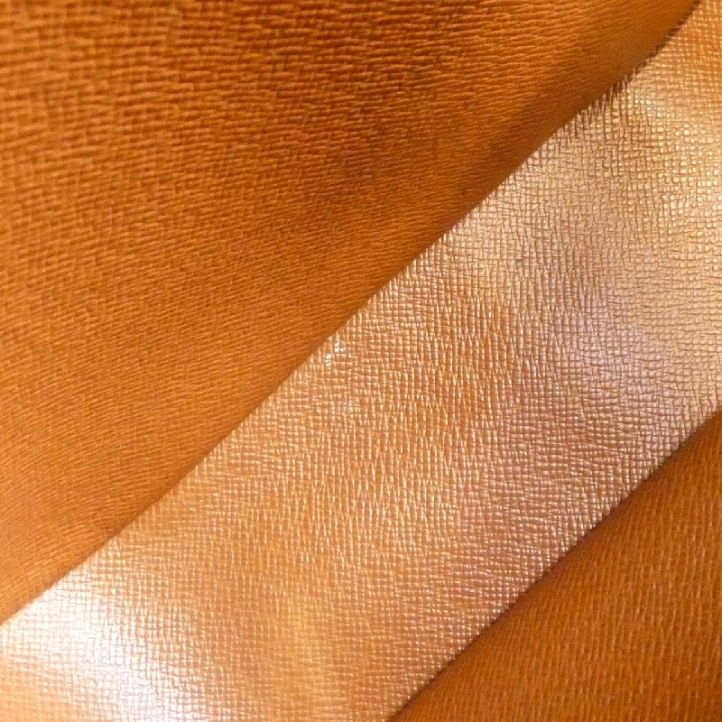 Túi xách vai Louis Vuitton Monogram Nile M45244 612467