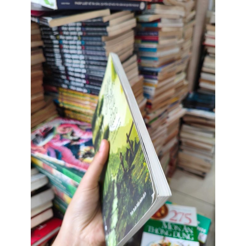 Liễu phàm tứ huấn 🌱 541762