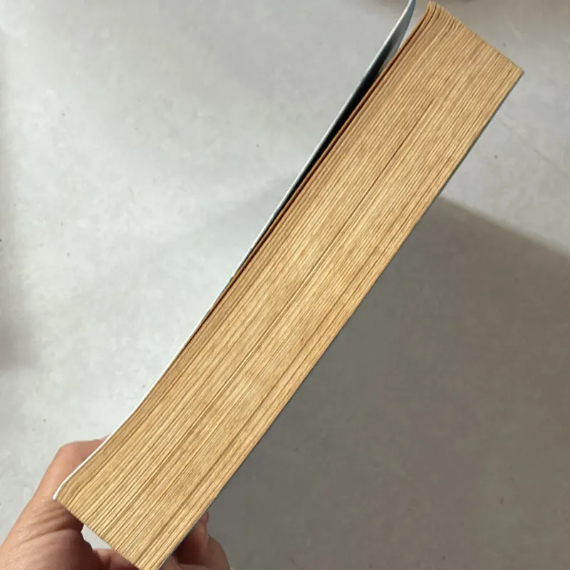 Người mẹ tốt hơn là người thầy tốt - Doãn Kiến Lợi 757657