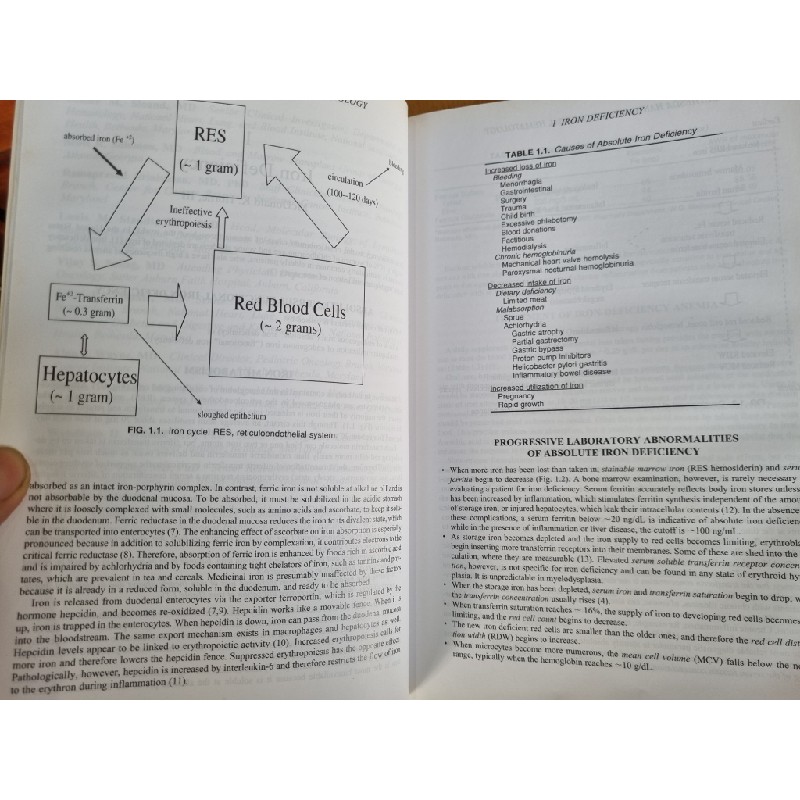 THE BETHESDA HANDBOOK OF CLINICAL HEMATOLOGY (2ND EDITION) - GRIFFIN RODGERS & NEAL YOUNG 120194