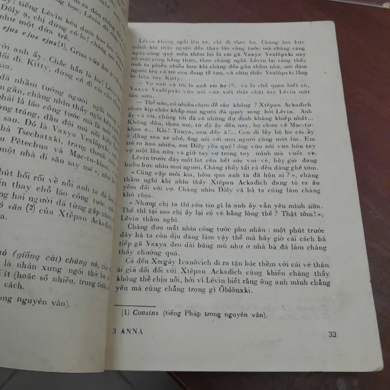 ANNA KARÊNINA - DƯƠNG TƯỜNG 763761