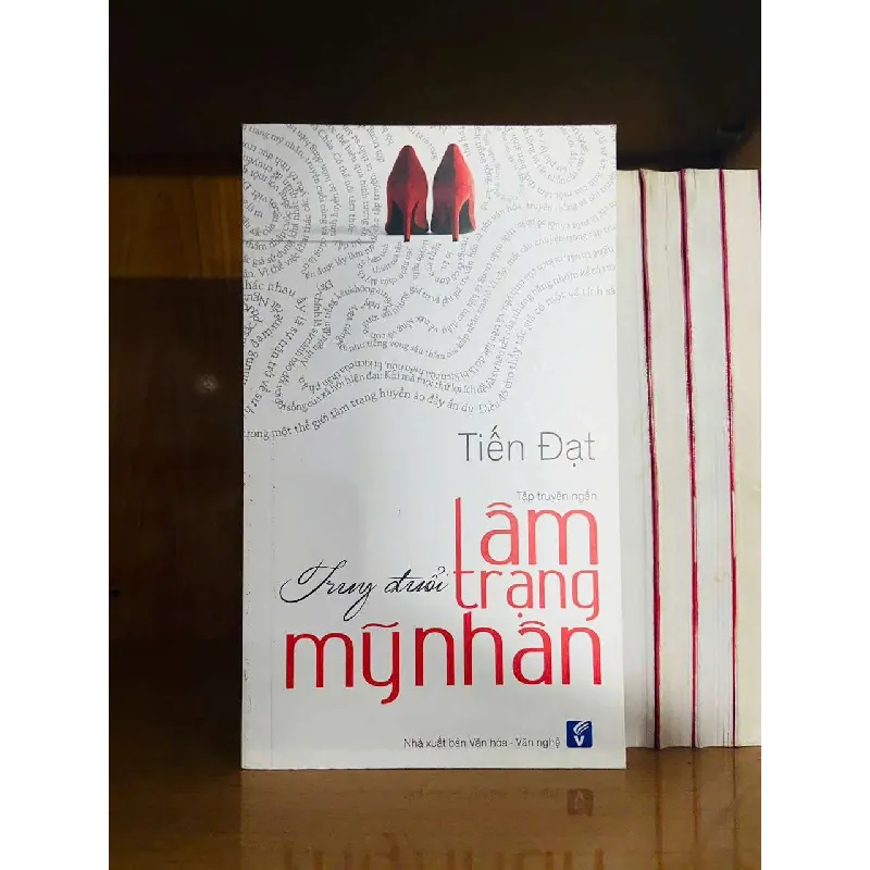 Truy đuổi tâm trạng Mỹ Nhân - Tiến Đạt VĂN HỌC VAVO0810 595015