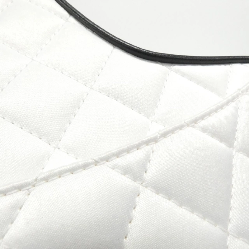 Túi xách vai Chanel AS4579 613750