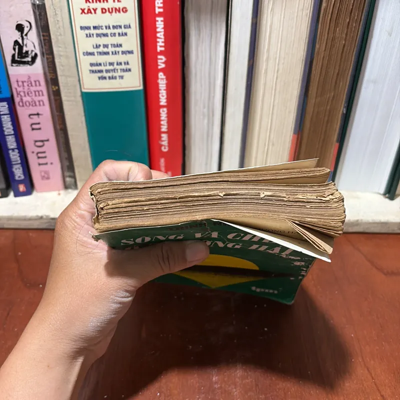 II Tiểu Thuyết Tự Truyện: Sống Và Chết Ở Thượng Hải (Tập 1) - Trịnh Niệm - Đặng Thiền Mẫn 759310