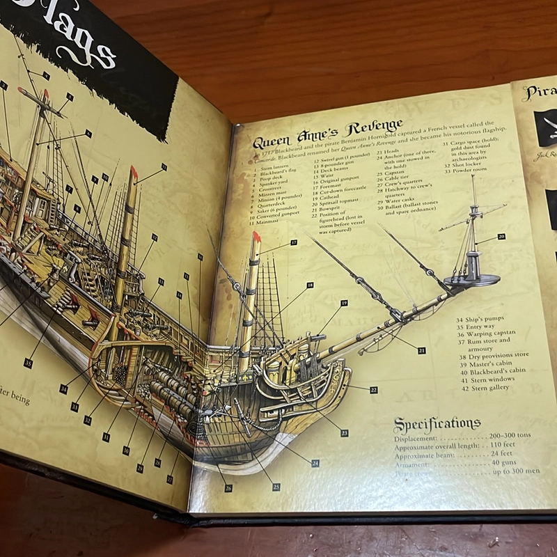 PICTURE BOOK Pirates 536441