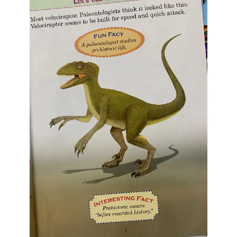 Tyrannosaurus Rex vs. Velociraptor – Jerry Pallotta 559527