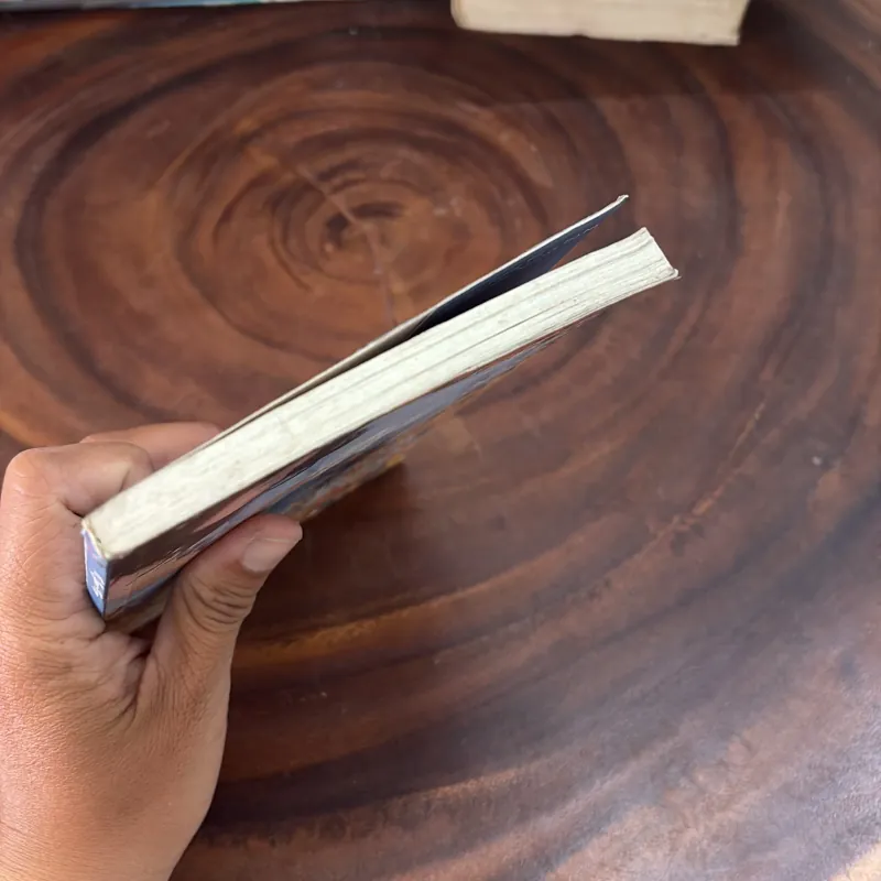 II Văn Học: Trái Tim Của Sói - Vũ Quỳnh Hương - 2008 999253